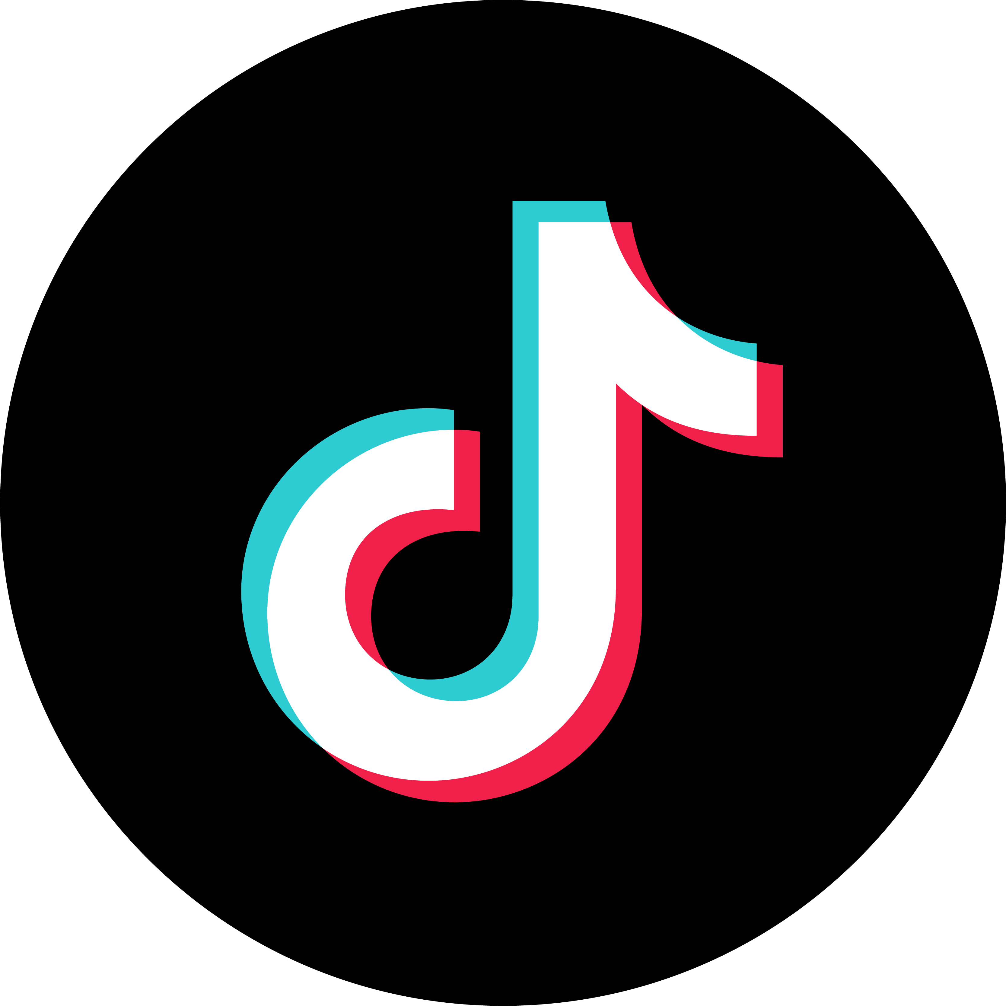Tiktok Icon